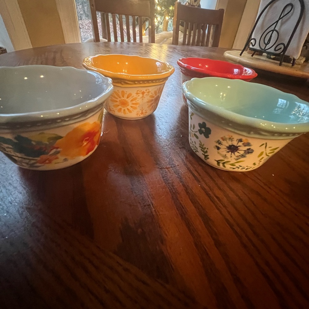 NWT Pioneer Woman 4” Ramekins  set of 4